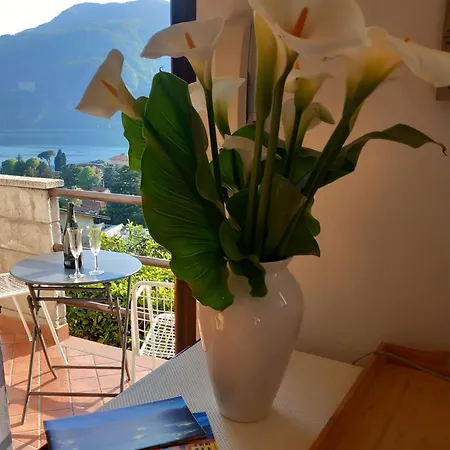 Lake&guzzi View -